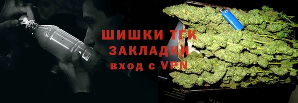 молекула духа Богданович