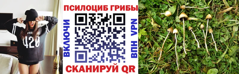 Псилоцибиновые грибы Cubensis  Купить где  Мончегорск 